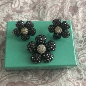 Brooch pin and earring set
